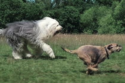 Wickes'slightly gratuitous visual metaphor' is one of ad's few flaws