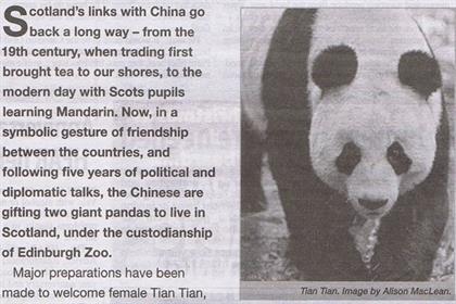 Scottish Government: panda ad is rapped by the ASA