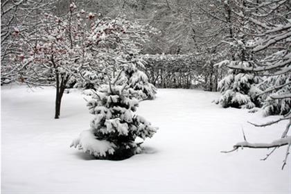 Comms issues: Heavy snow