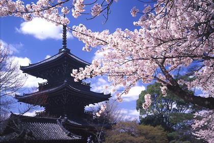 Kyoto: the only place where ‘real’ geishas can still be seen