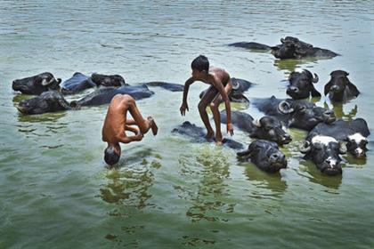 Photo competition: Children's Eyes On Earth