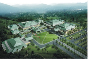 Top hotel openings in 2011
