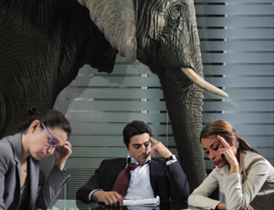 Mind's 'elephant in the room' campaign