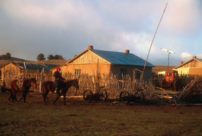 A farm in Mongolia