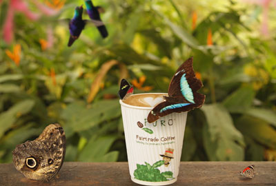 The coffee supplier Miko has raised money for the protection of areas of rainforest in South America