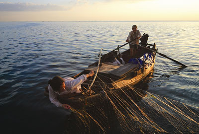 Each HSBC charity partner had its own objectives; the WWF focused on improving fish stocks