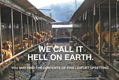 The WSPA's dog farms appeal leaflet