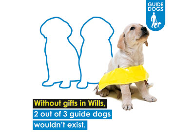 A Guide Dogs advert