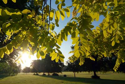 Victoria Park