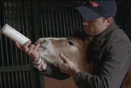 Budweiser: most-popular Super Bowl ad this year