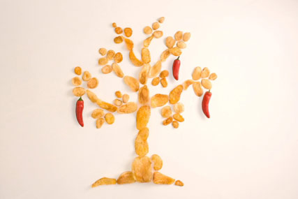 Kettle Chips: appoints Walker Media