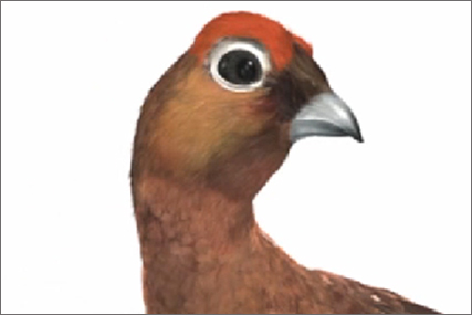 Famous Grouse: whisky brand launches Christmas TV ad