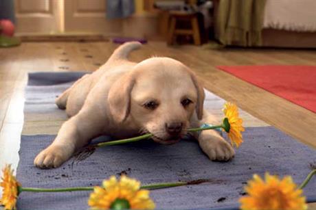 Andrex: hands digital account to JWT