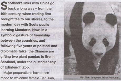 Scottish Government: panda ad is rapped by the ASA