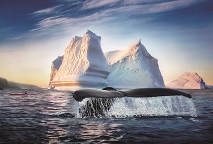Atlantic Canada: Brighter Group brief