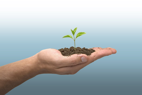 BIS: Promoting SMEs