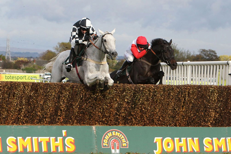 Horse welfare: The Grand National