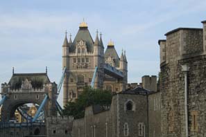 Green Issues staff will move to Tower Hill