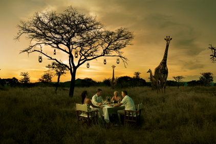South Africa: Publicasity wins consumer and trade account