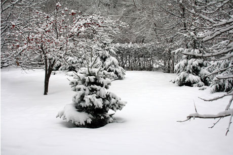 Comms issues: Heavy snow