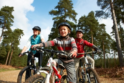 Wider view: The Forestry Commission is combining comms for woodland owners and the public