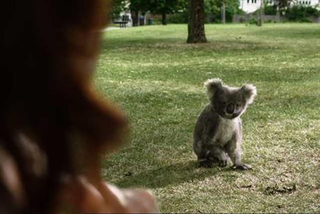 Specsavers 'koala' by Specsavers Creative
