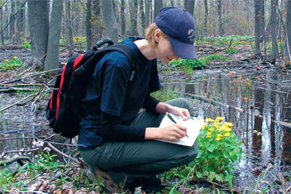 Every environmental assessment aims to minimise environmental effects