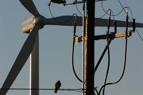Balancing act: Canada’s grid has not kept up with growth of its wind market (Photo:David Dodge, Green Energy Futures)