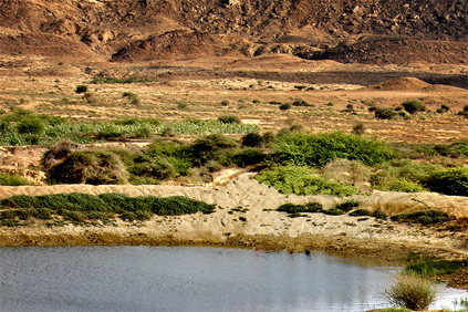 The wind farm will be in Sindh province in southern Pakistan