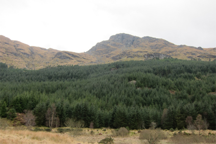 FCS land near Loch Long, western Scotland