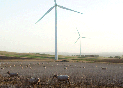 A wind farm in Victoria, Australia