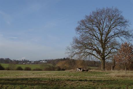 Report says NPPF is 'unnecessarily damaging the countryside'