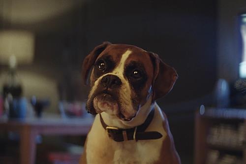 How to stand out from the marketing crowd at Christmas