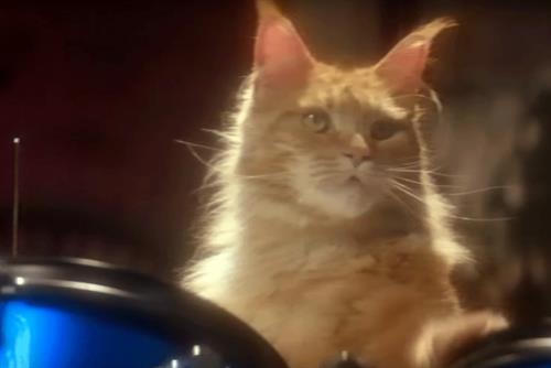 Temptations "Treat them too" by Adam & Eve/DDB London