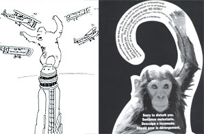 Some of the campaign material ADI sent to MEPs