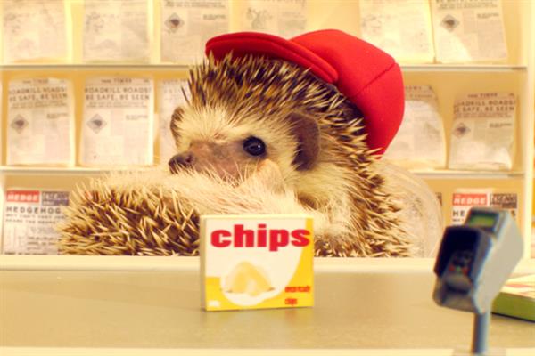 Lactofree 'listen up hedgehogs' by Wieden & Kennedy