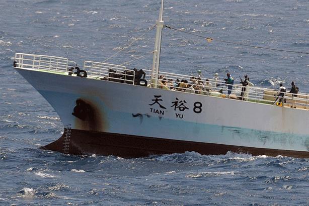 Salamanca: offers services including piracy prevention and support and forensic accounting