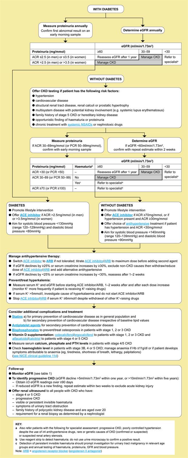 Early Identification and Management of Chronic Kidney Disease in Adults (NICE Guideline) MIMS