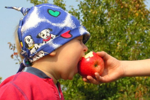 healthy eating - image:Morguefile