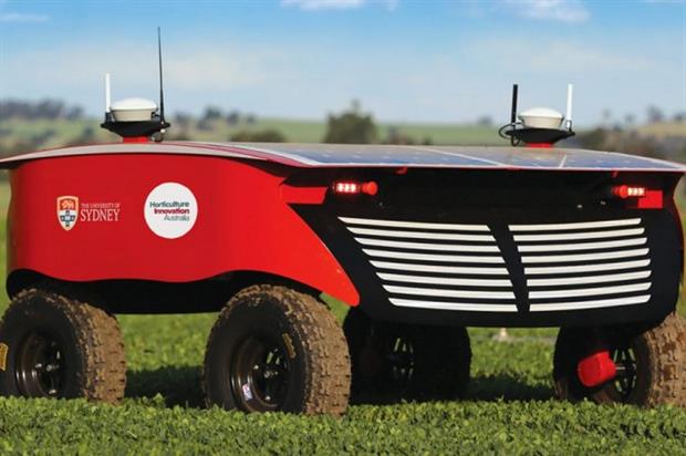 Image: Horticulture Innovation Australia