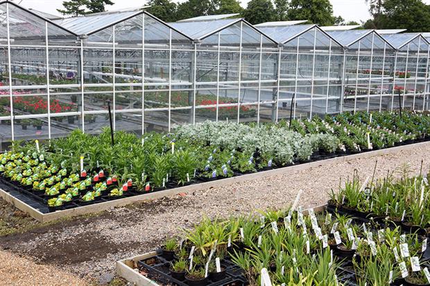 Garden Design Nursery garden design nursery in Garden Design Nursery garden design nursery in