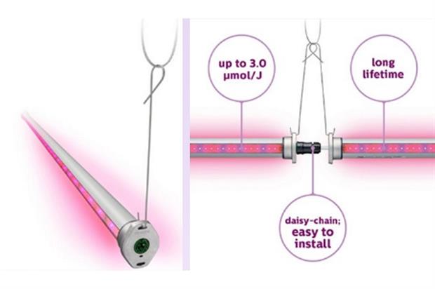 Image: Philips Lighting