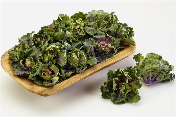 Image: Tozer Seeds