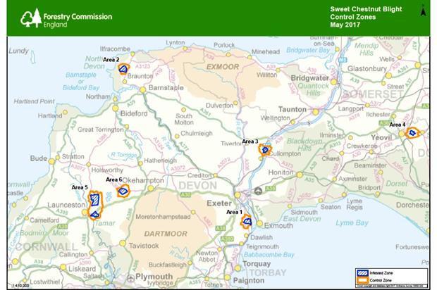 Image: Forestry Commission