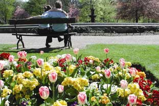 Vernon Park celebrates its 150th anniversary - photo: Stockport Metropolitan Borough Council