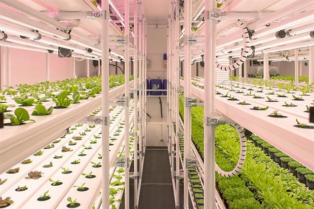 Image: HydroGarden