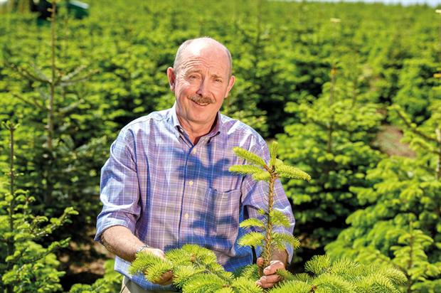 William Rose, Owner, Fillingham Christmas Trees - image: Fillingham Christmas Trees