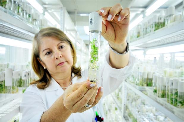 Image: CIAT (CC BY SA 2.0)