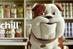 Churchill dog becomes shopkeeper in latest campaign