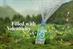 Sector Insight: Bottled water